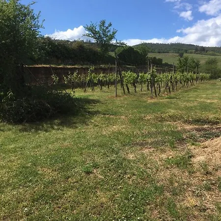 Ferienhaus Beck Domaine Du Rempart *