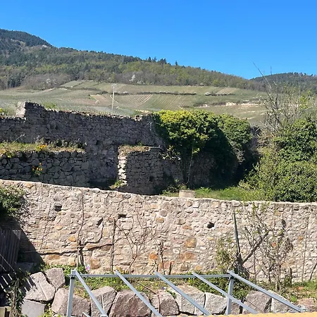 Beck Domaine Du Rempart Дамбах-ла-Виль